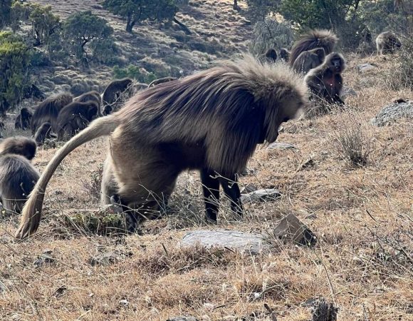 Why Ethiopia Should Be Your Next Travel Destination
